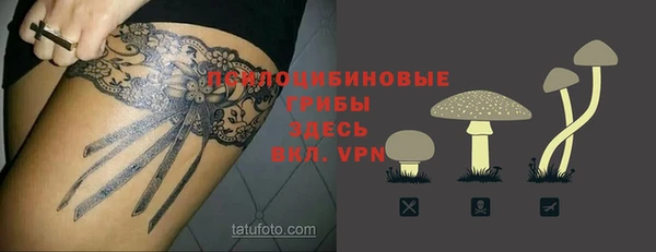 mdpv Белокуриха