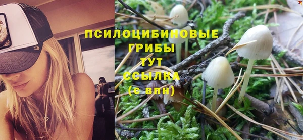 mdpv Белокуриха